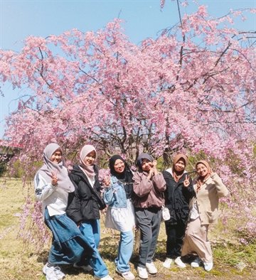 桜の下で撮影した集合写真
